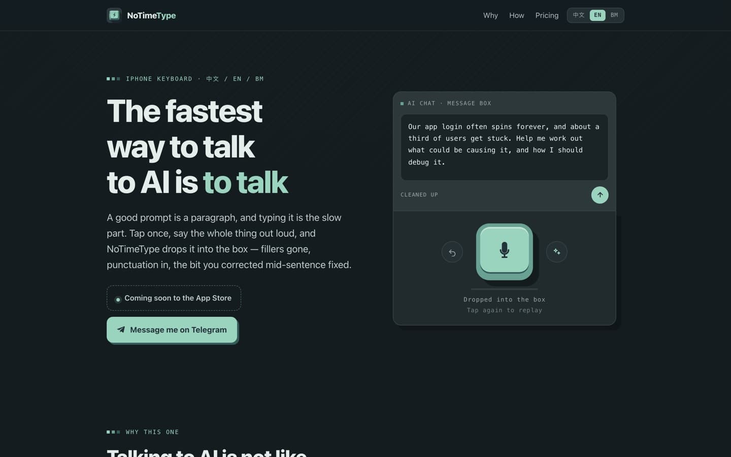 The NoTimeType product site — 'The fastest way to talk to AI is to talk' beside a chat box where a spoken ramble has been rewritten into one clean paragraph