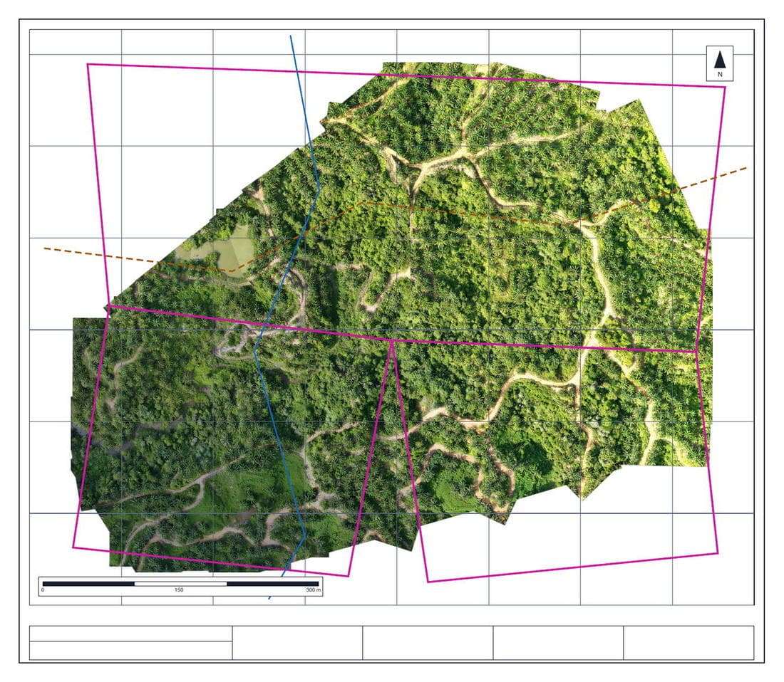 A GeoPDF task sheet with its grid and magenta block boundaries drawn over a stitched aerial orthophoto of an oil palm block